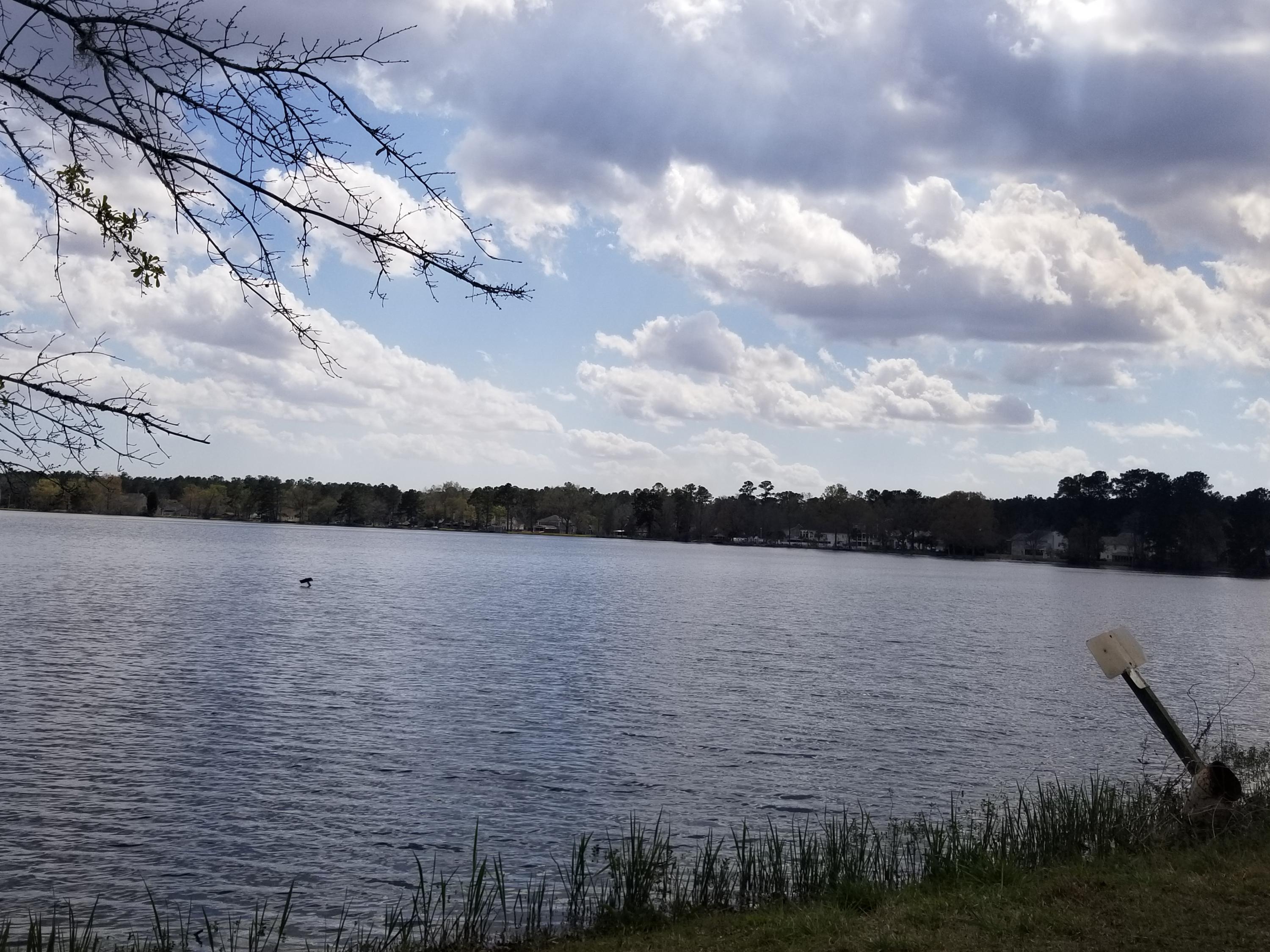 1811 Perch Road Moncks Corner, SC 29461 - Photo 57 of 60 20200311_143411