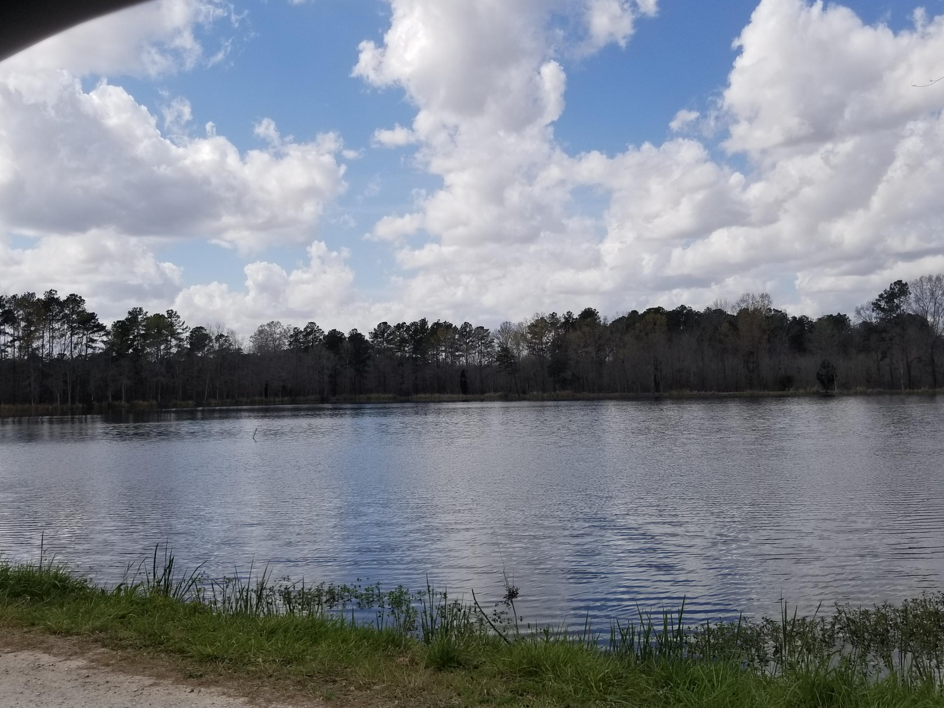 1811 Perch Road Moncks Corner, SC 29461 - Photo 58 of 60 20200311_143406