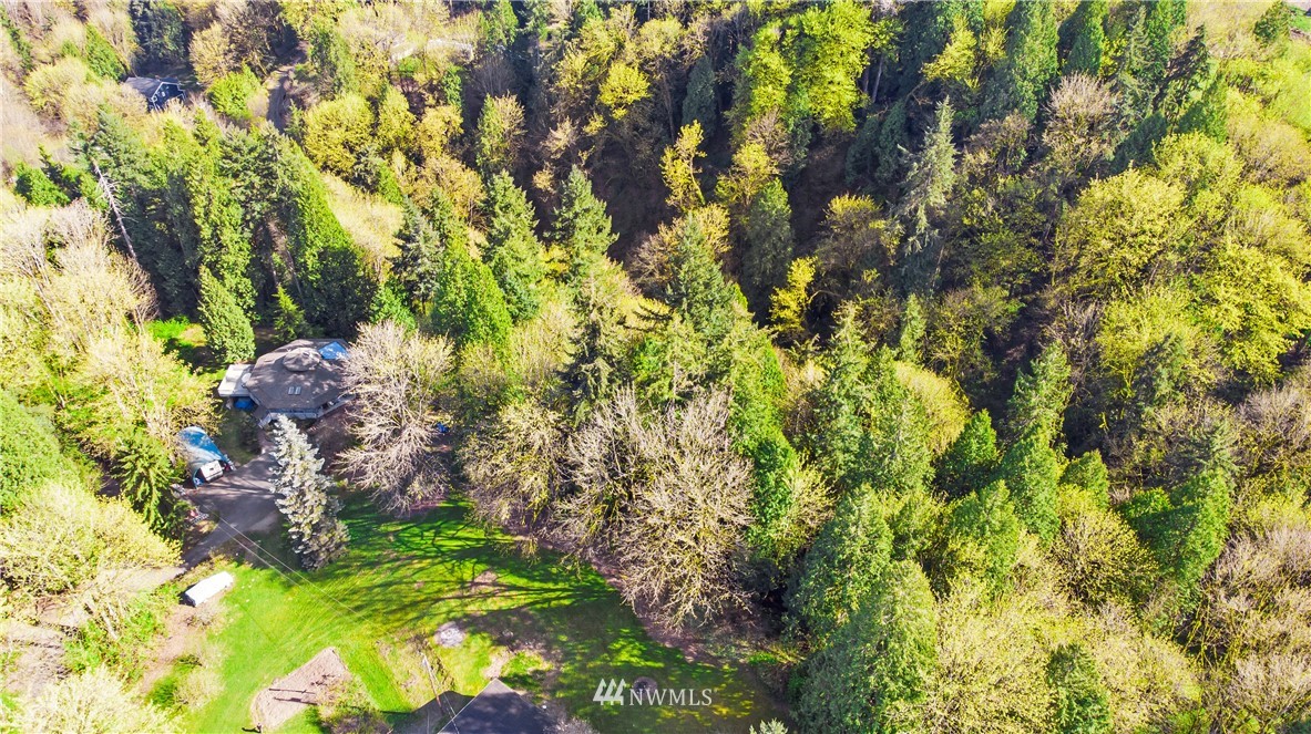 16919 112th Place Northeast Bothell, WA 98011 - Photo 39 of 40 a plant view