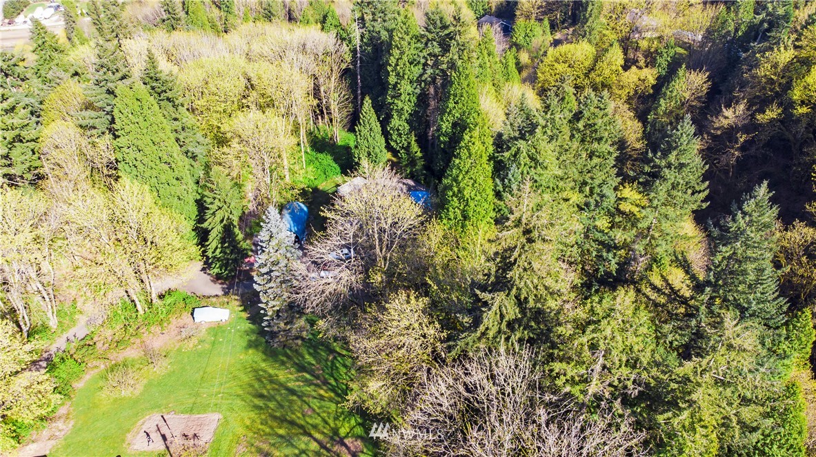 16919 112th Place Northeast Bothell, WA 98011 - Photo 40 of 40 a view of a garden with plants