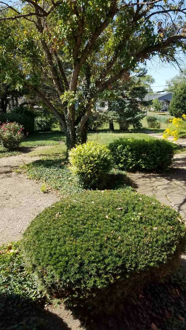 426 South Adeline Avenue Addison, IL 60101 - Photo 13 of 13 a view of a garden with an trees