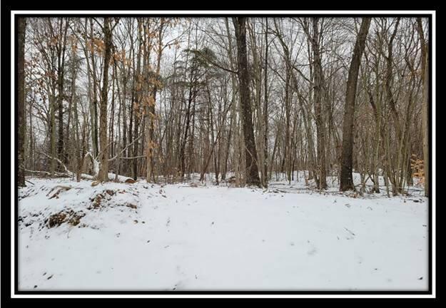 0 Number 12 Hollow Road Wellston, OH 45692 - Photo 31 of 45 image031