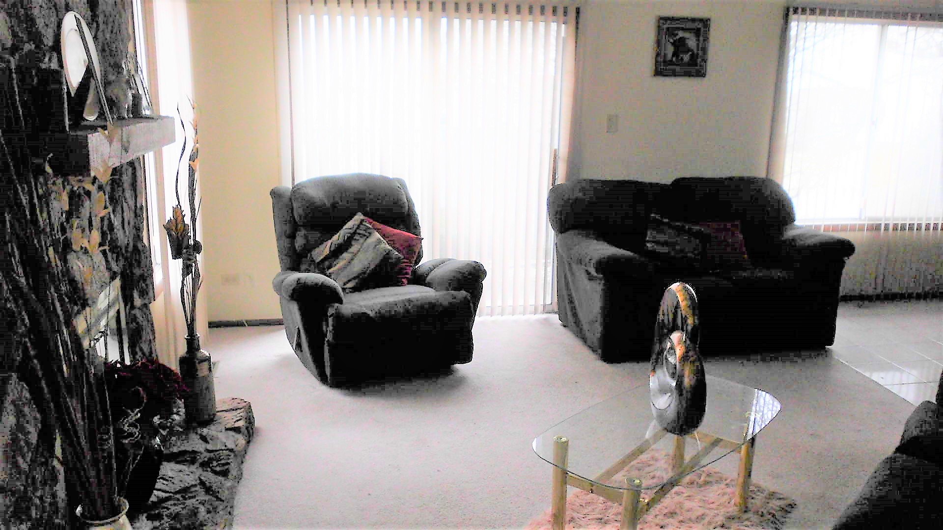 29 Churn Road Matteson, IL 60443 - Photo 2 of 11 a living room with furniture and a window