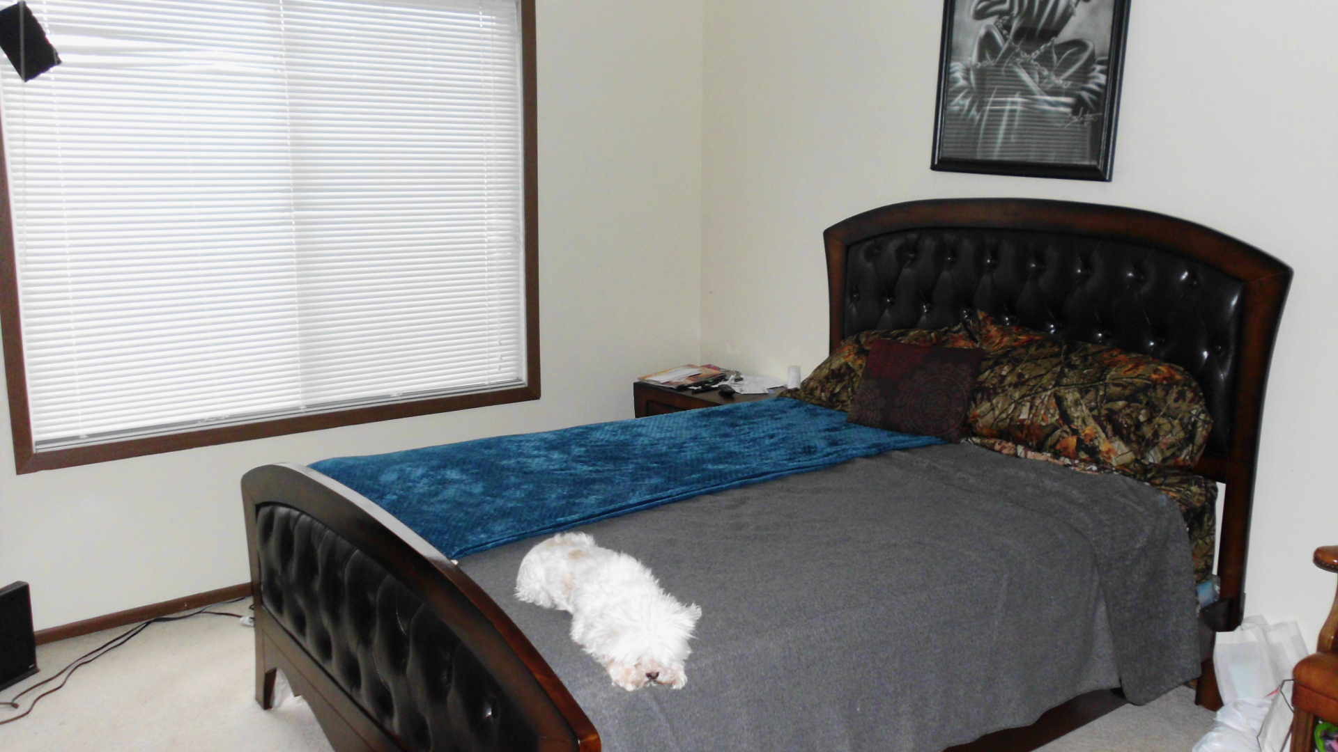 29 Churn Road Matteson, IL 60443 - Photo 7 of 11 a bedroom with a bed and a window
