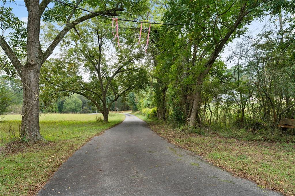 79 Floyd Road Southwest Cartersville, GA 30120 - Photo 38 of 50 a view of a yard with large trees