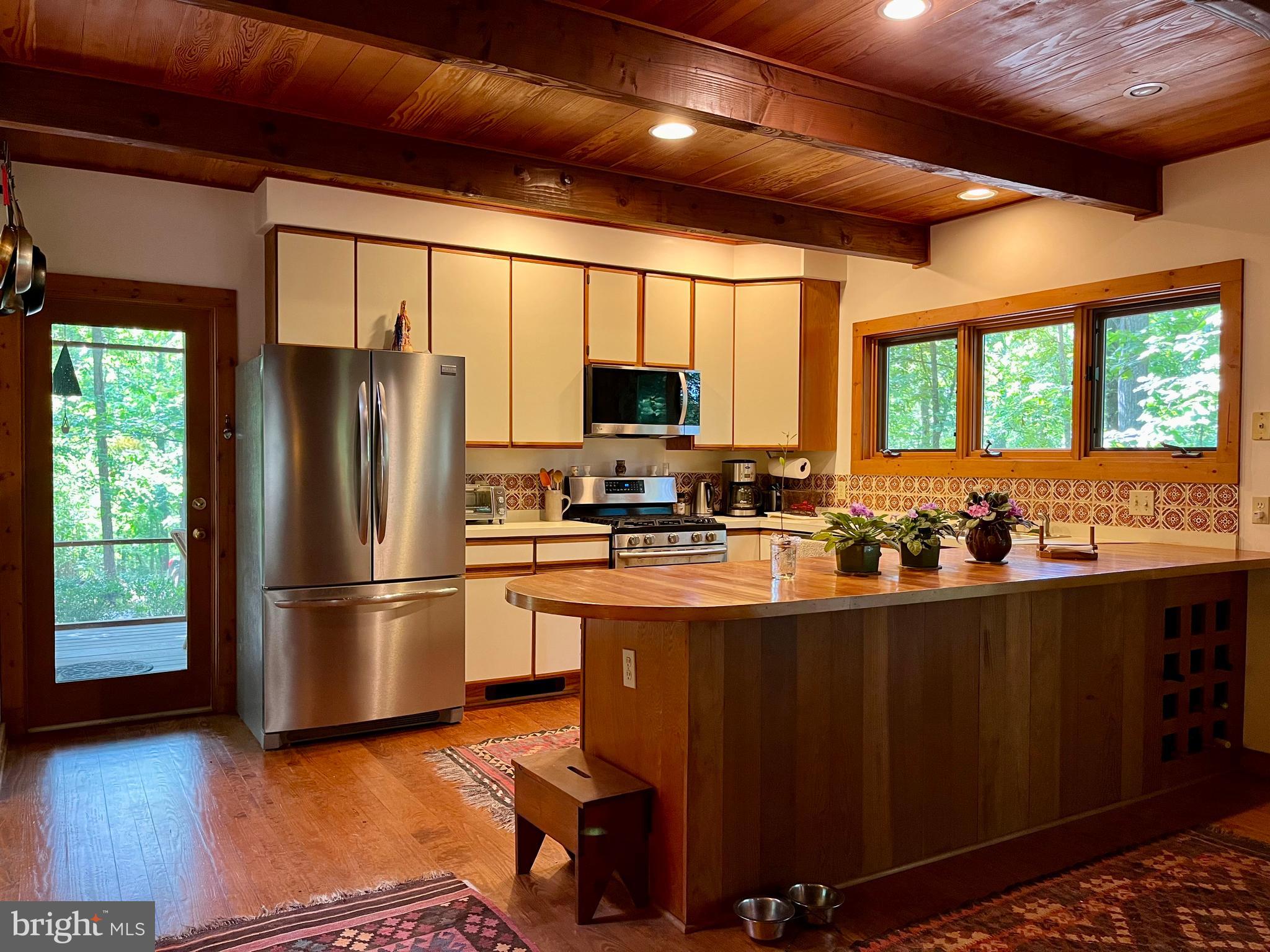 740 Long Mountain Road Washington, VA 22747 - Photo 15 of 51 Kitchen with door to Screen porch