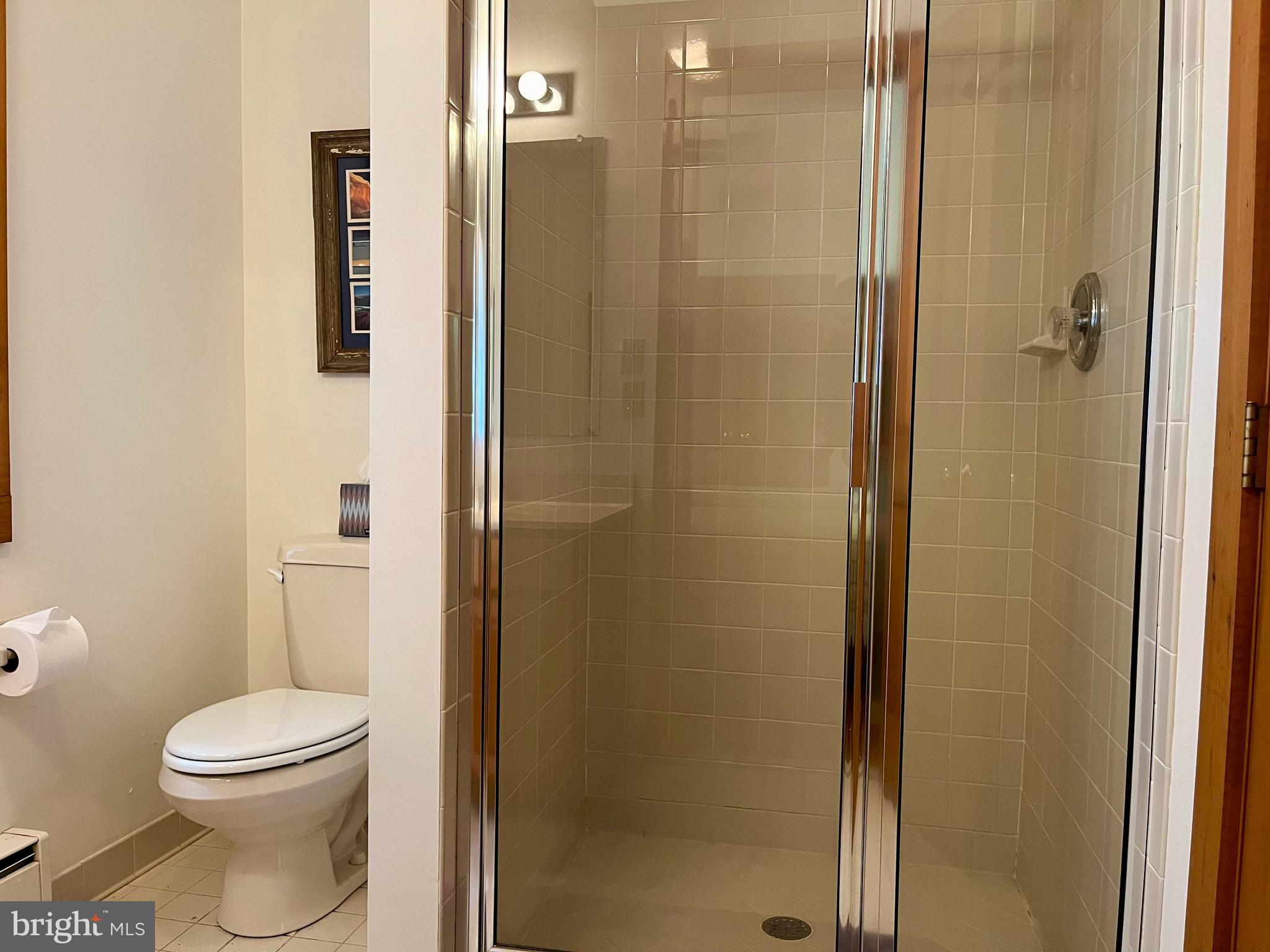 740 Long Mountain Road Washington, VA 22747 - Photo 22 of 51 Main Level Full Bathroom 2