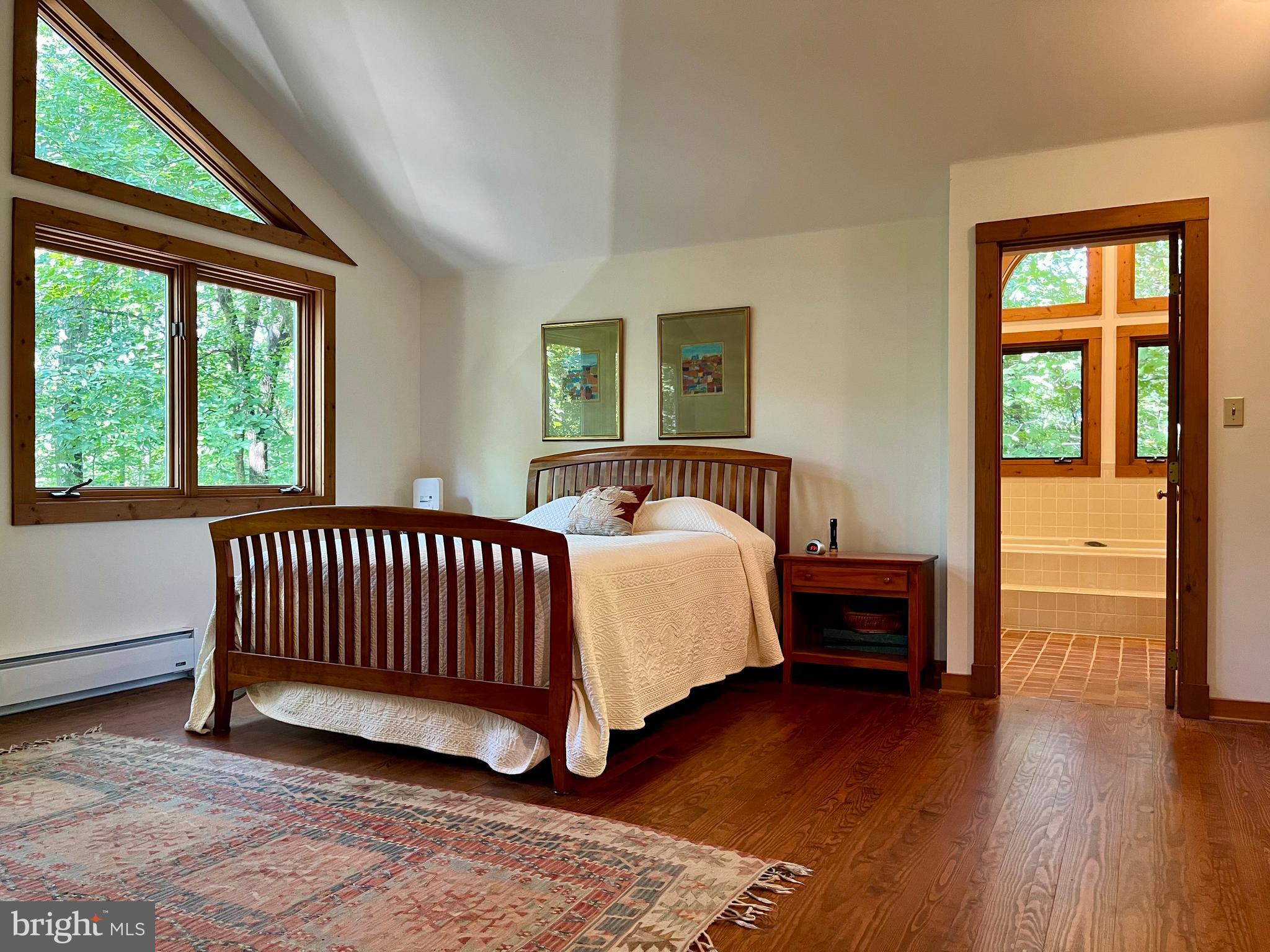 740 Long Mountain Road Washington, VA 22747 - Photo 26 of 51 Primary Bedroom