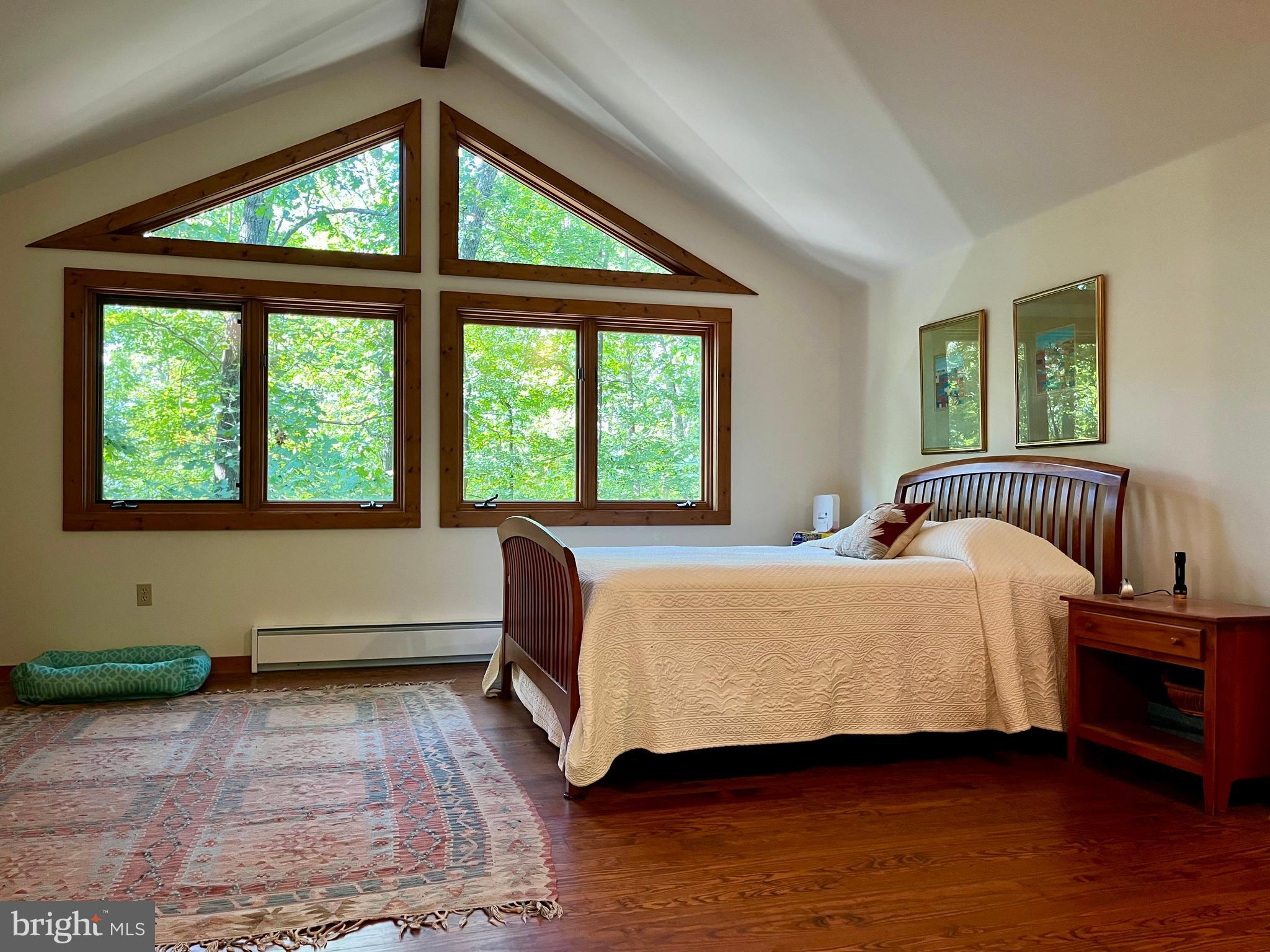 740 Long Mountain Road Washington, VA 22747 - Photo 27 of 51 Primary Bedroom