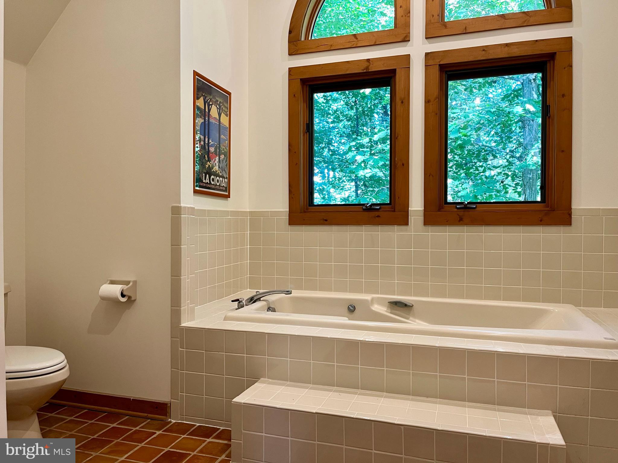 740 Long Mountain Road Washington, VA 22747 - Photo 31 of 51 Jet Tub