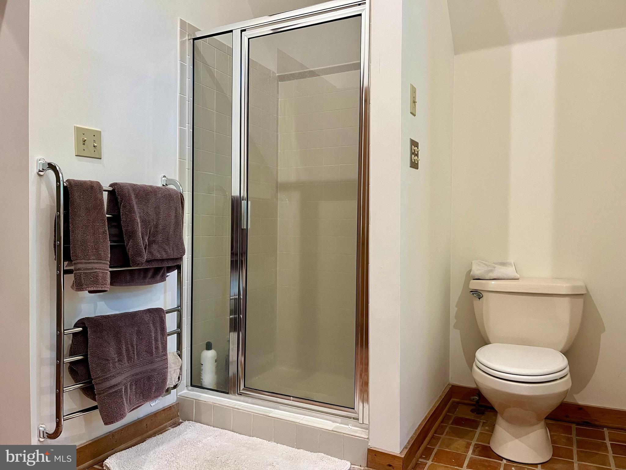 740 Long Mountain Road Washington, VA 22747 - Photo 32 of 51 Walk in Shower