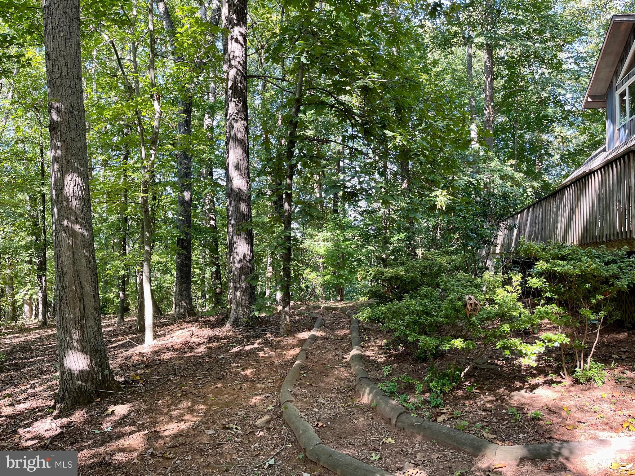 740 Long Mountain Road Washington, VA 22747 - Photo 42 of 51 Mature trees