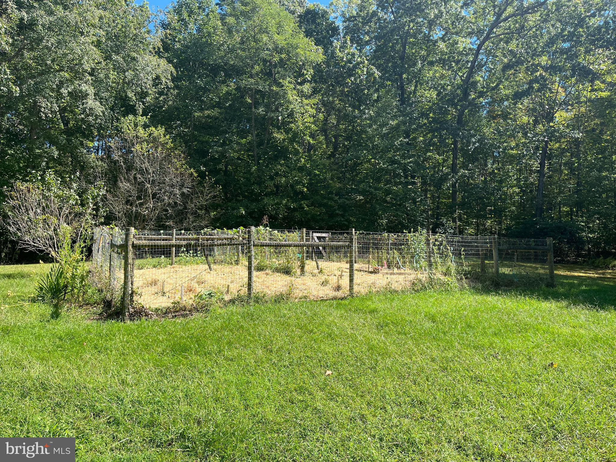 740 Long Mountain Road Washington, VA 22747 - Photo 45 of 51 Garden