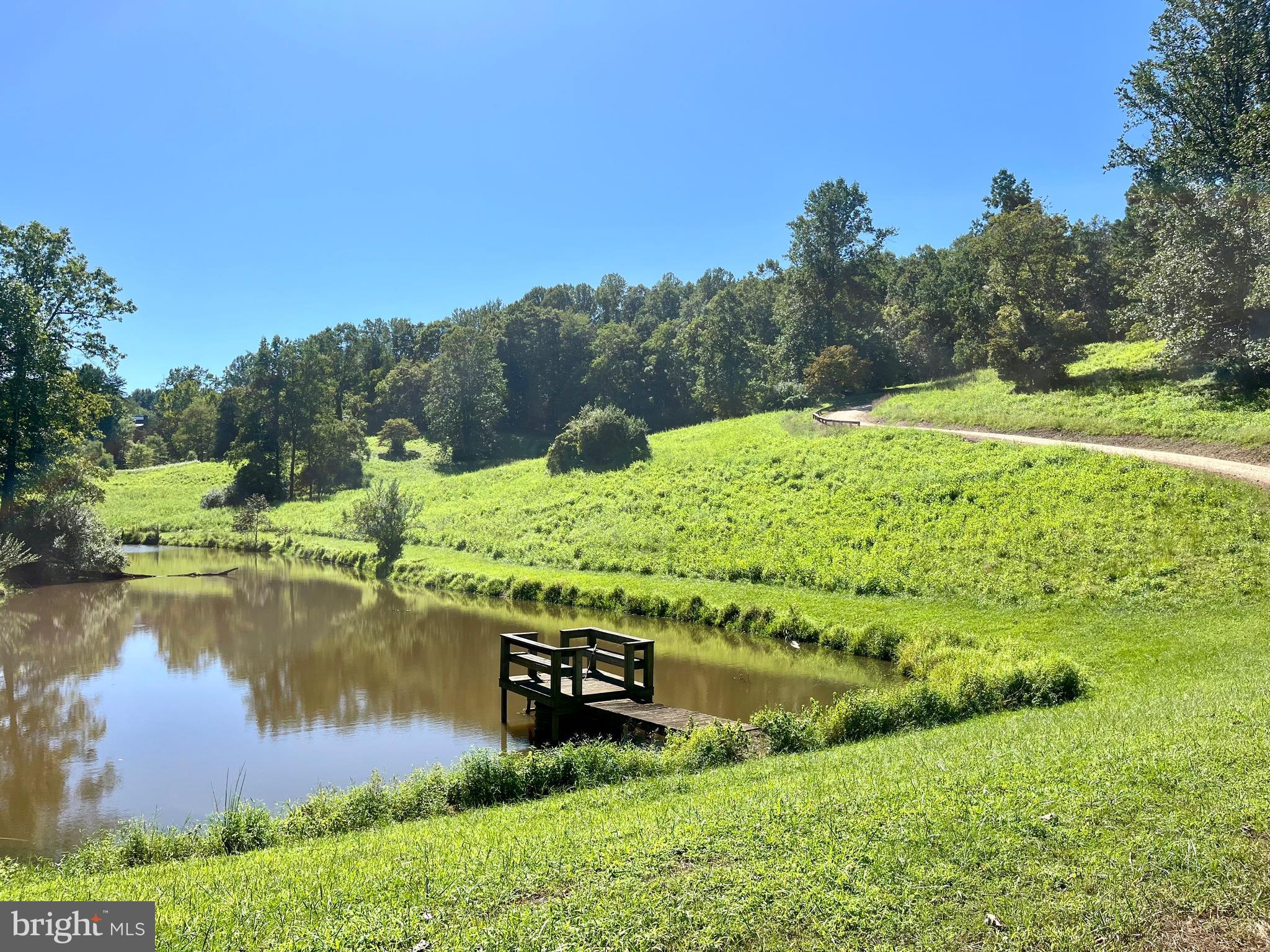 740 Long Mountain Road Washington, VA 22747 - Photo 46 of 51 Summer Pond