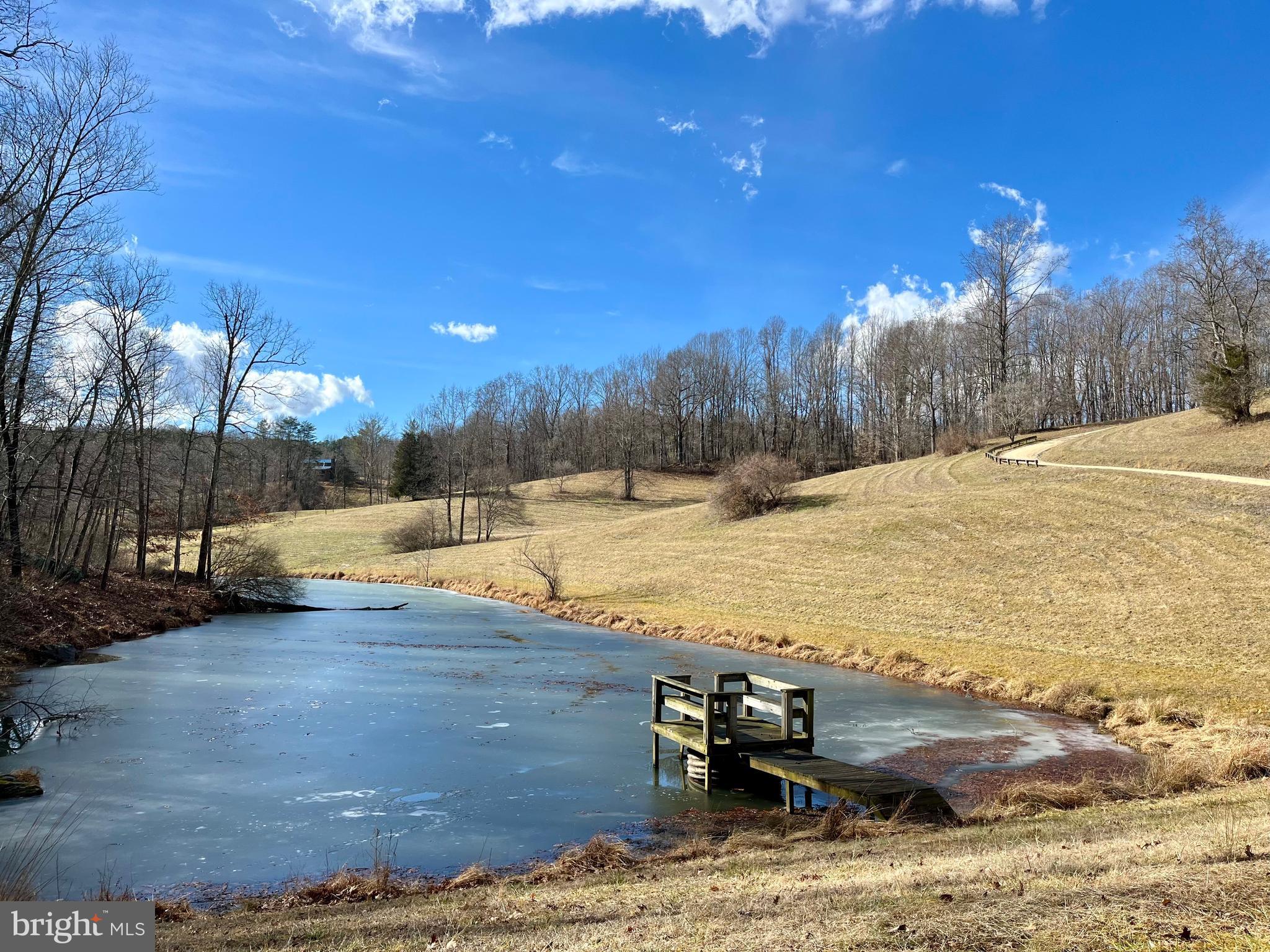 740 Long Mountain Road Washington, VA 22747 - Photo 48 of 51 Winter Pond
