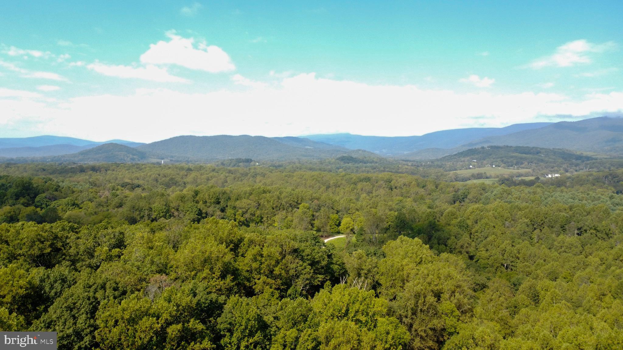 740 Long Mountain Road Washington, VA 22747 - Photo 51 of 51 Aerial Mountains above trees
