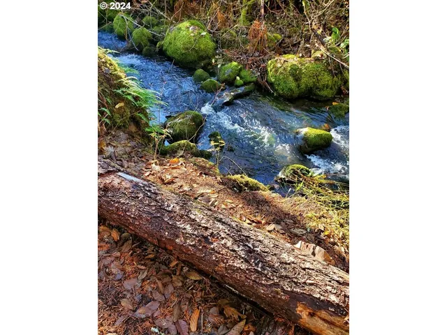 $349,500 | 49220 Mountain View Road, Oakridge, OR 97463