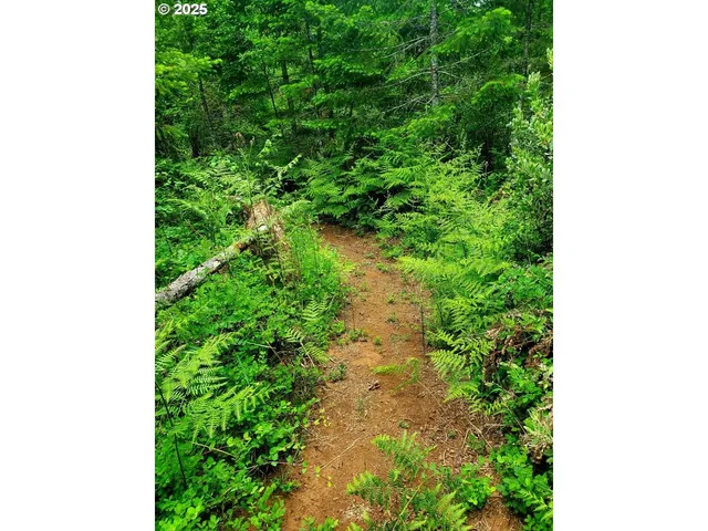 $349,500 | 49220 Mountain View Road, Oakridge, OR 97463