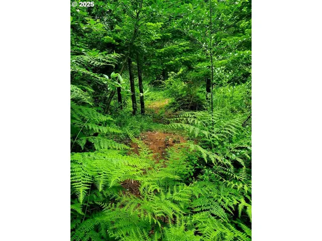 $349,500 | 49220 Mountain View Road, Oakridge, OR 97463