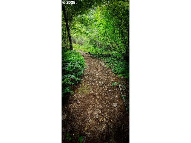 $349,500 | 49220 Mountain View Road, Oakridge, OR 97463