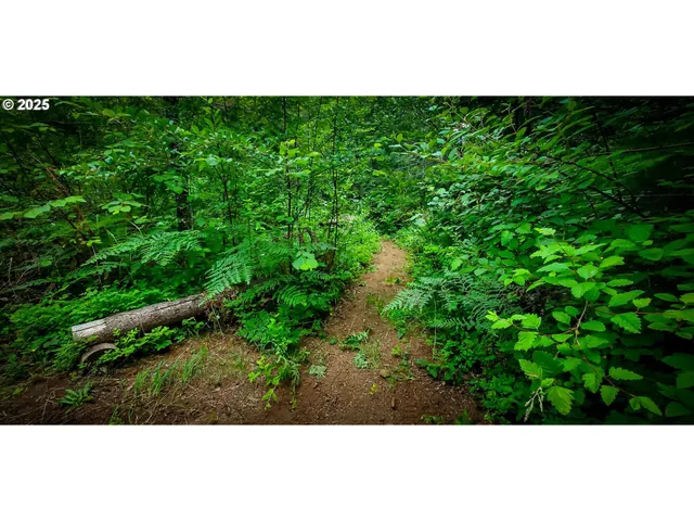 $349,500 | 49220 Mountain View Road, Oakridge, OR 97463