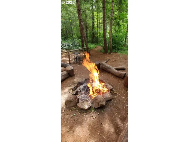 $349,500 | 49220 Mountain View Road, Oakridge, OR 97463