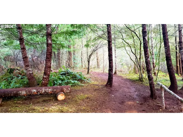 $349,500 | 49220 Mountain View Road, Oakridge, OR 97463