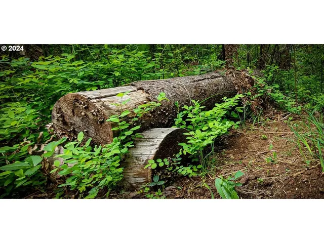 $349,500 | 49220 Mountain View Road, Oakridge, OR 97463