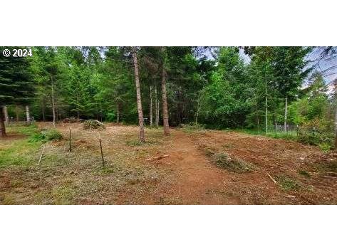 49220 Mountain View Road Oakridge, OR 97463 - Photo 9 of 20 Backyard