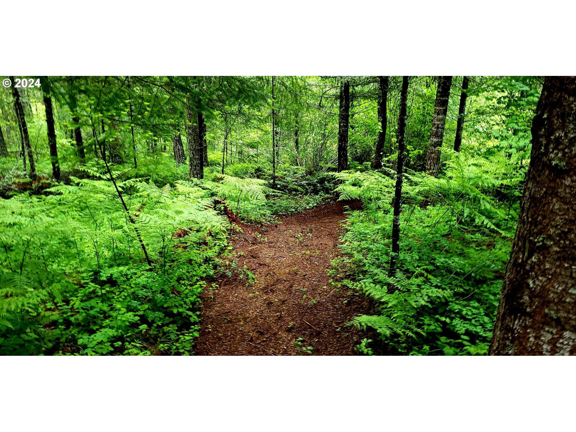 49220 Mountain View Road Oakridge, OR 97463 - Photo 10 of 20