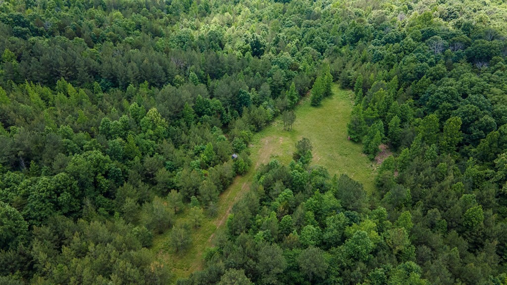1 State Highway Calhoun, TN 37309 - Photo 5 of 20