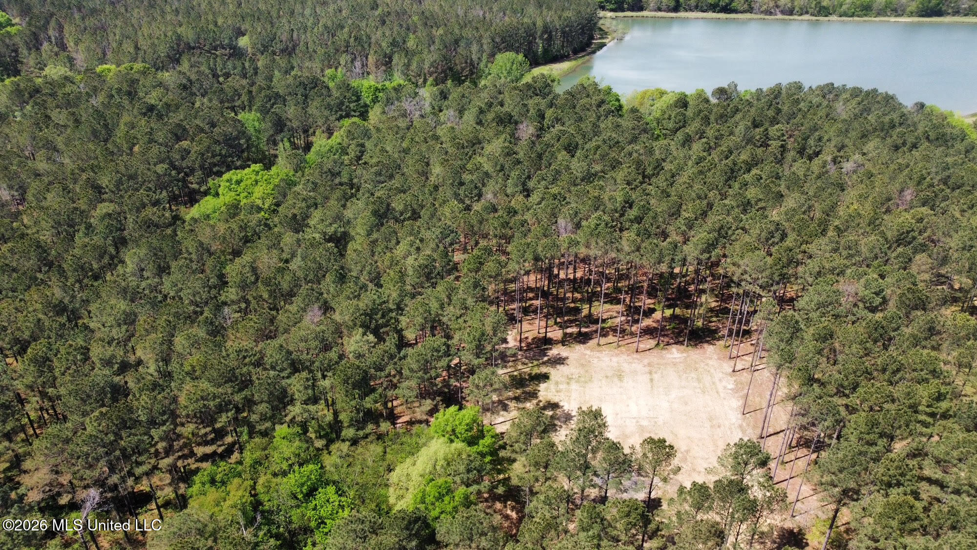 2 Morgan Road Canton, MS 39046 - Photo 13 of 19 13