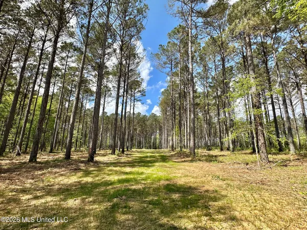 $110,000 | 2 Morgan Road, Canton, MS 39046