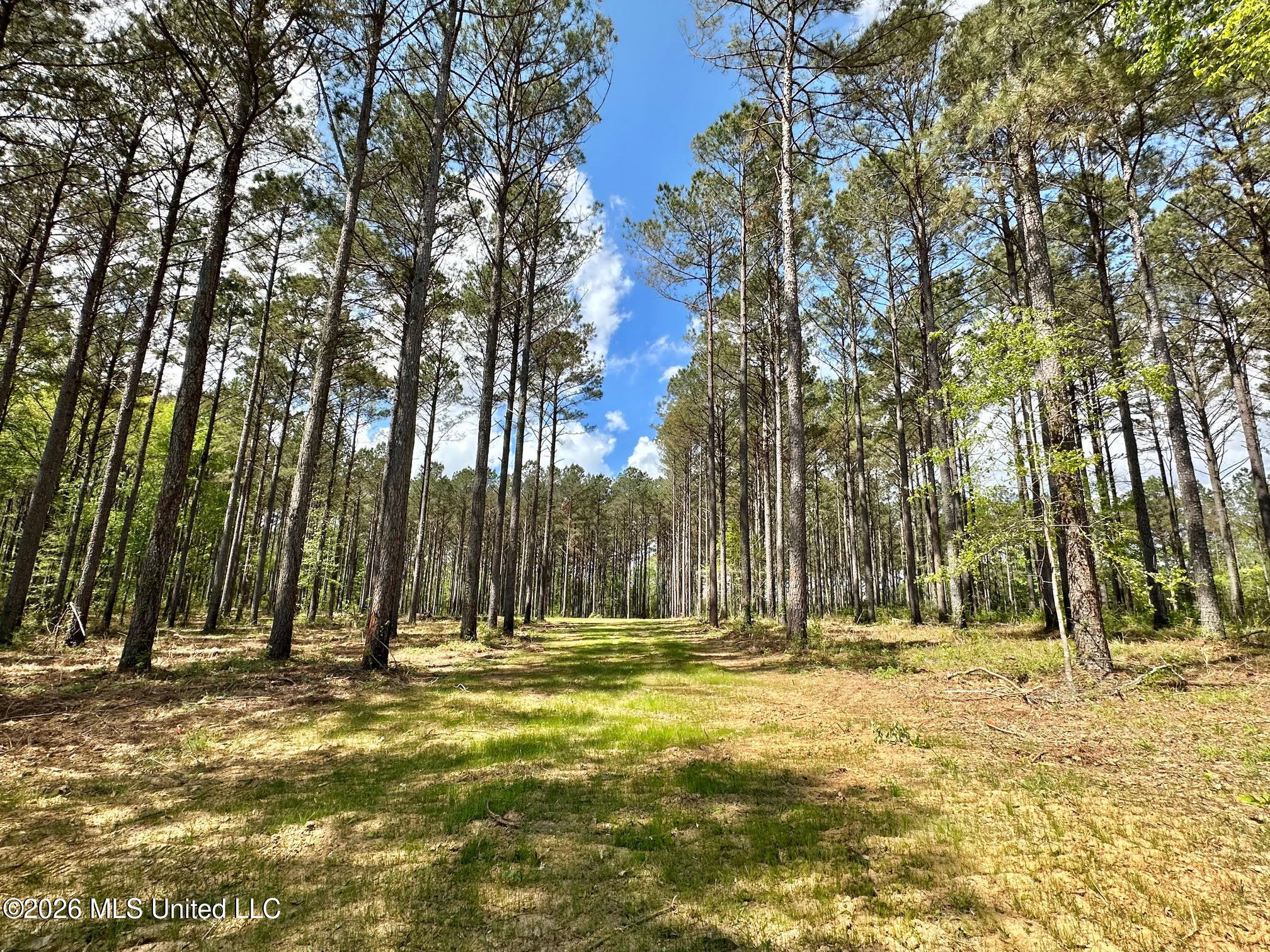 2 Morgan Road Canton, MS 39046 - Photo 3 of 19 2