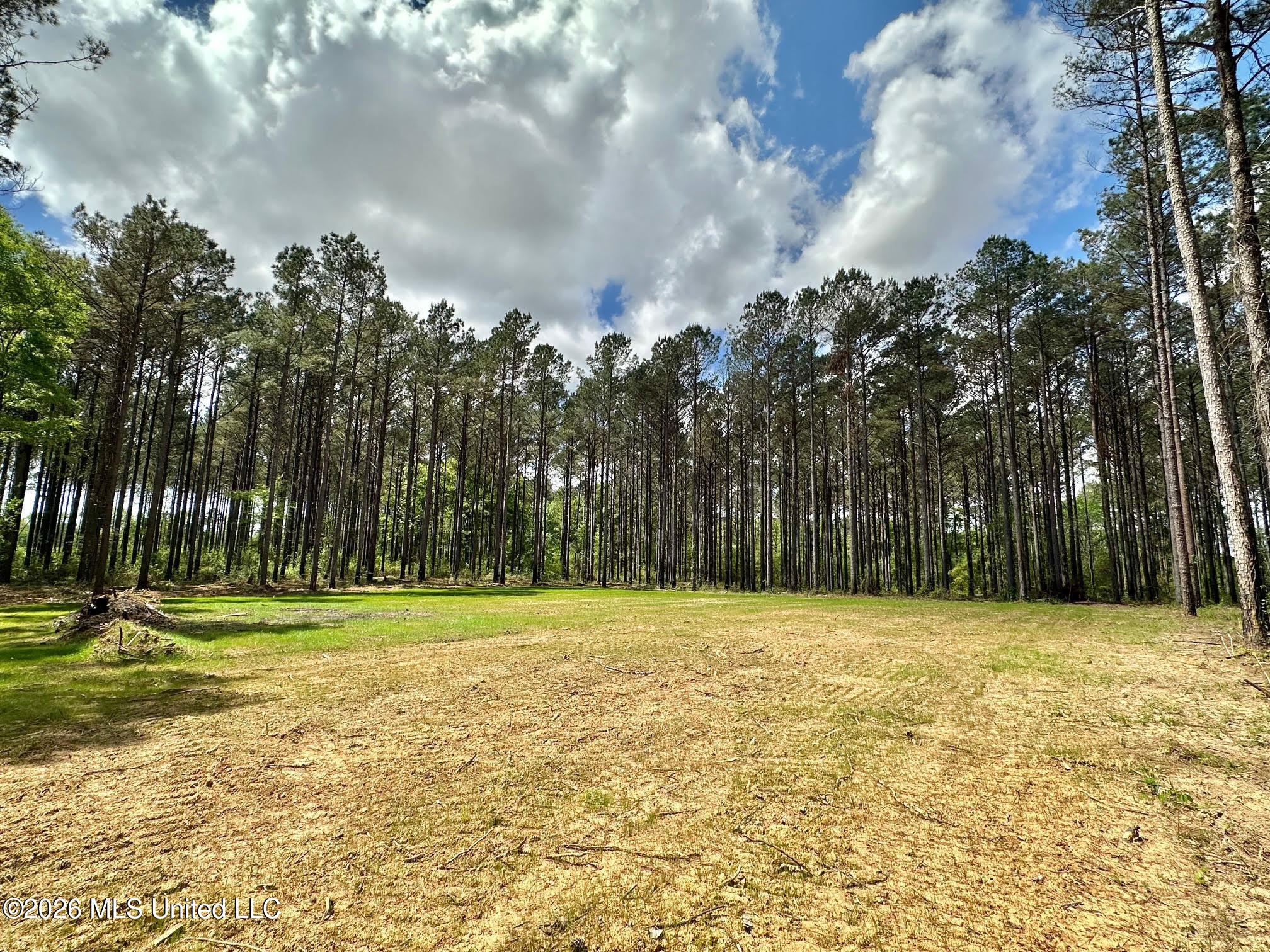 2 Morgan Road Canton, MS 39046 - Photo 4 of 19 4