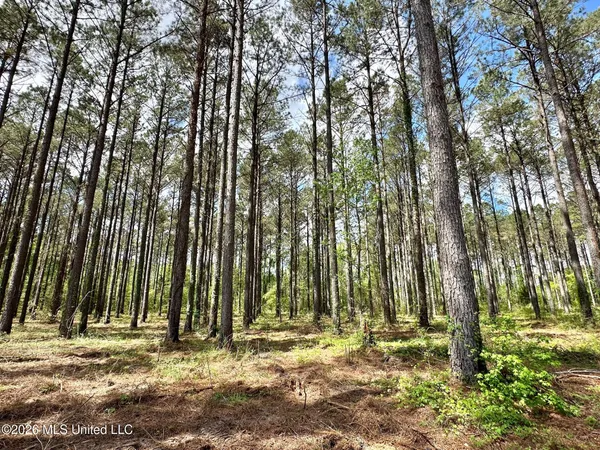 $110,000 | 2 Morgan Road, Canton, MS 39046