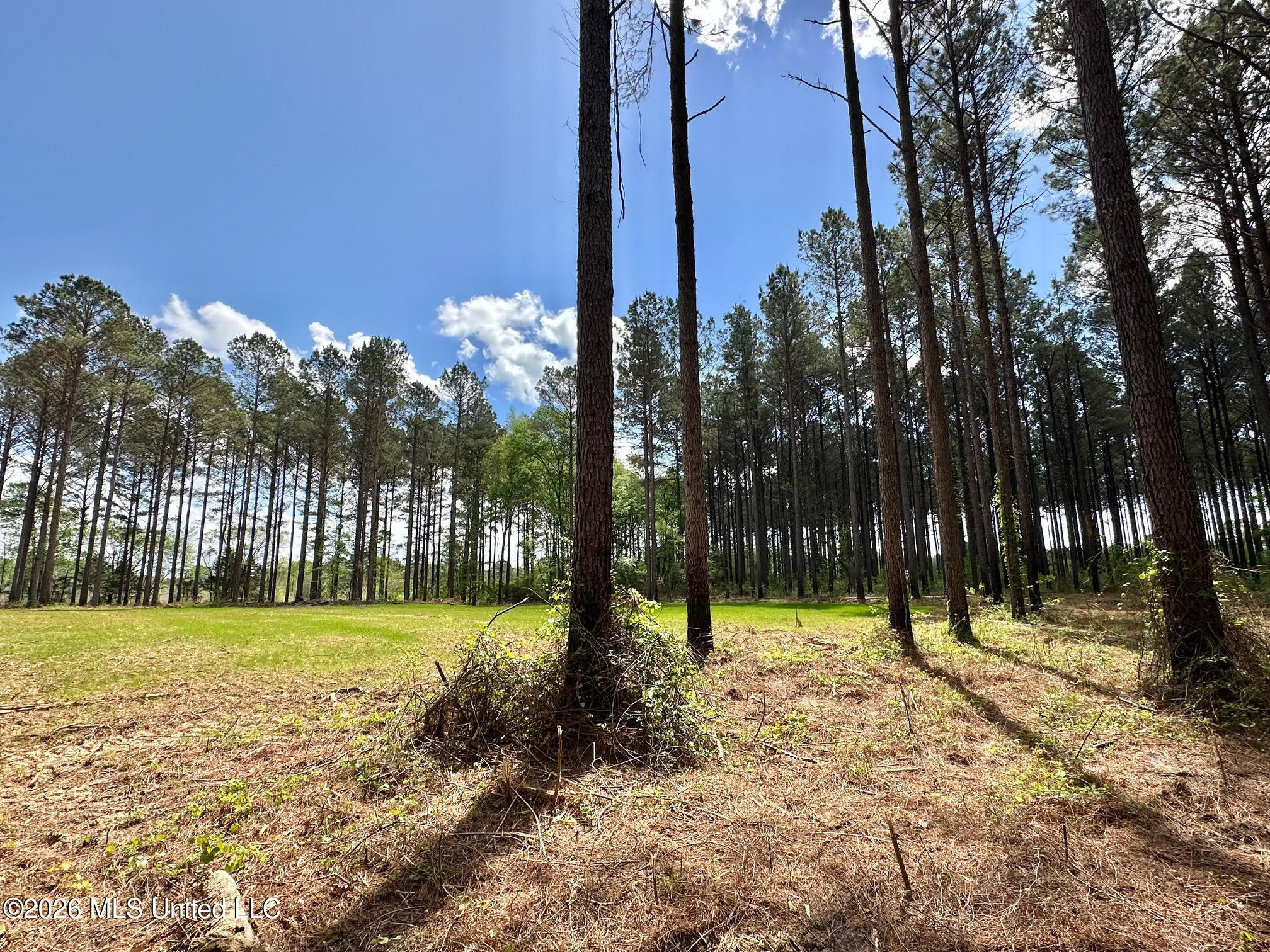 2 Morgan Road Canton, MS 39046 - Photo 7 of 19 7
