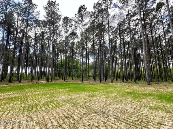 $110,000 | 2 Morgan Road, Canton, MS 39046