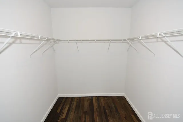 a view of walk in closet with empty racks