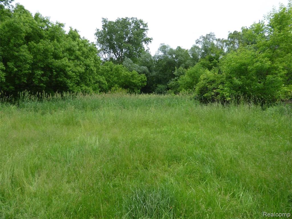 21104 Gill Road Farmington Hills, MI 48335 - Photo 8 of 17