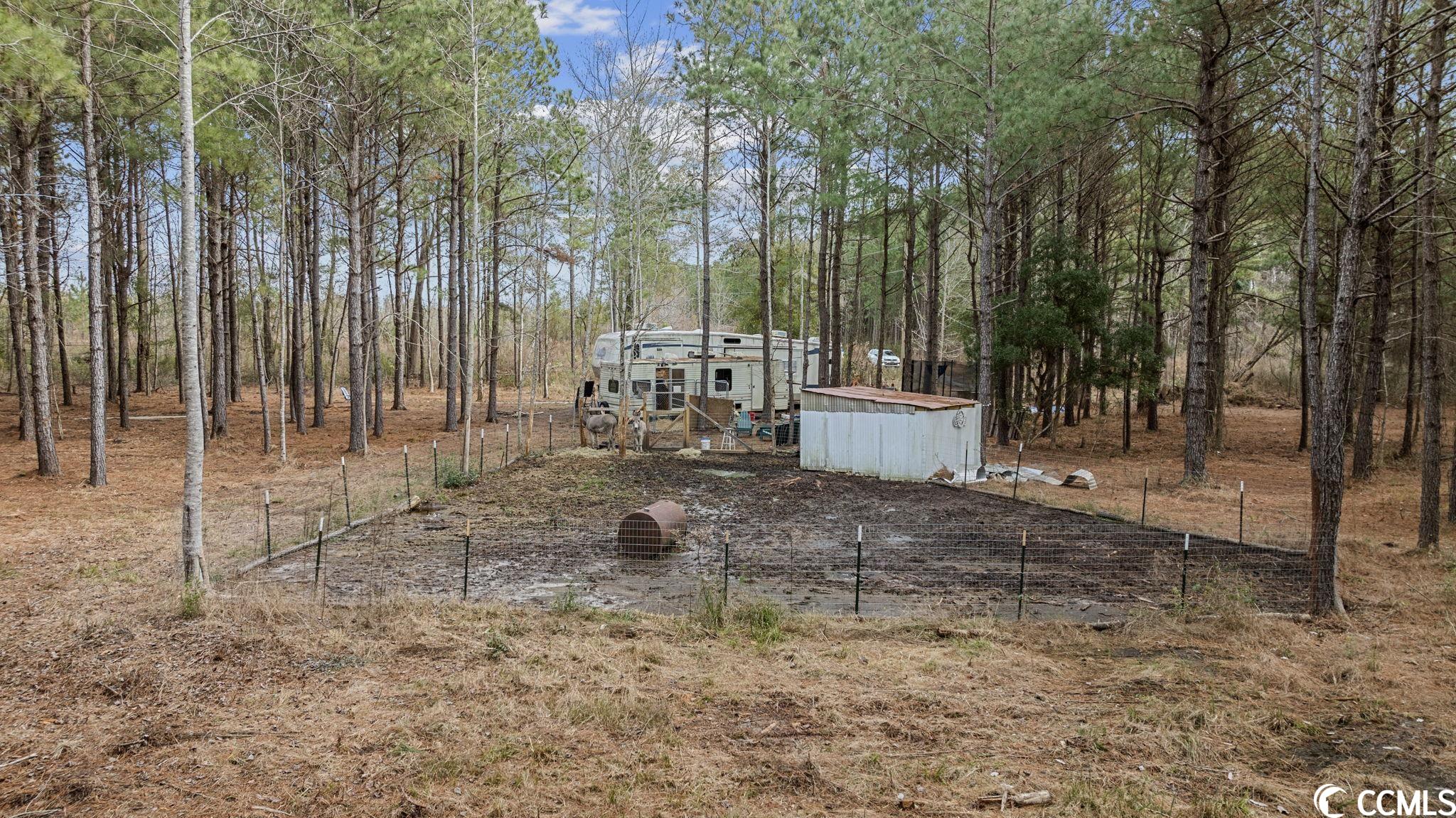 2863 Old Buck Creek Road Longs, SC 29568 - Photo 23 of 27 Gallery Image 23