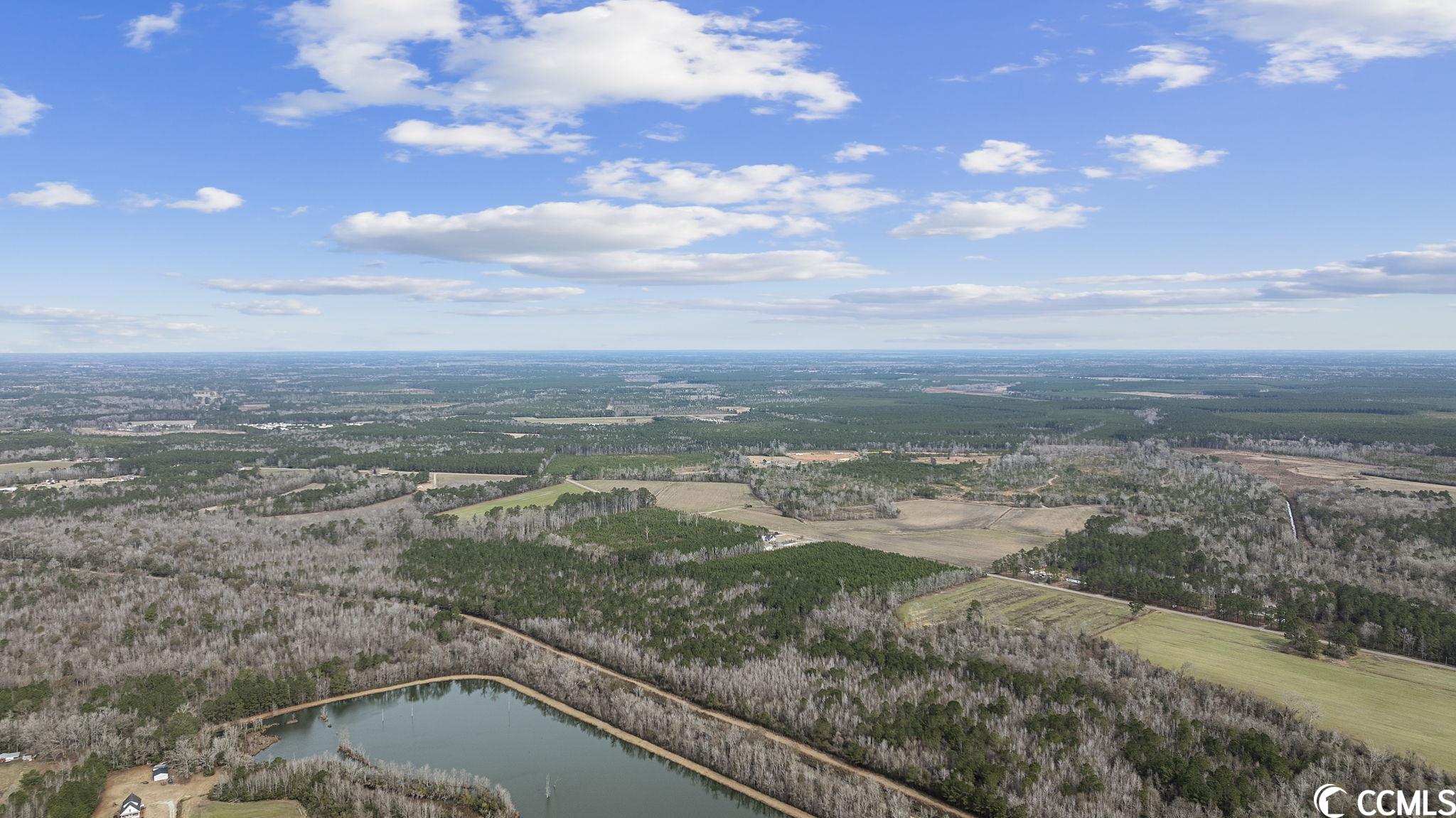 2863 Old Buck Creek Road Longs, SC 29568 - Photo 8 of 27 Gallery Image 8