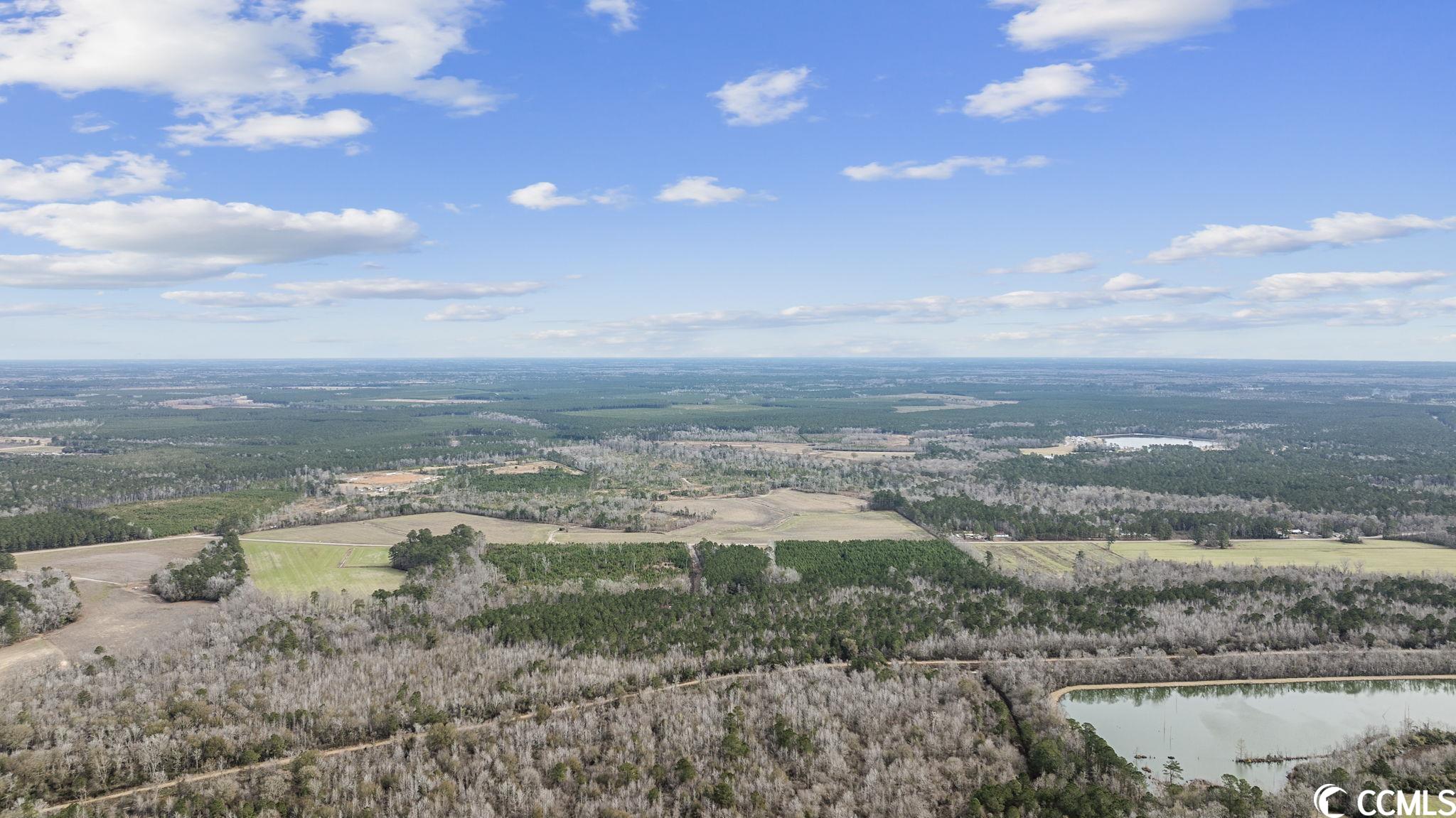 2863 Old Buck Creek Road Longs, SC 29568 - Photo 10 of 27 Gallery Image 10
