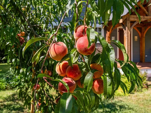 $650,000 | 588 Round Barn Road, Ferrisburgh, VT 05456