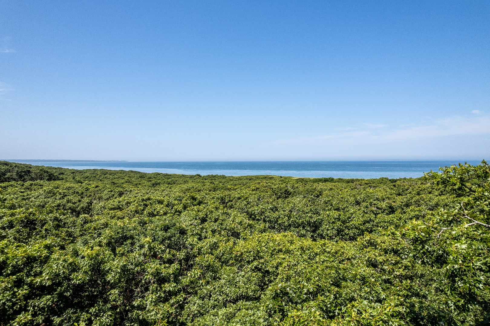 4 Tilton Road Chilmark, MA 02535 - Photo 65 of 71 Gallery Image 65