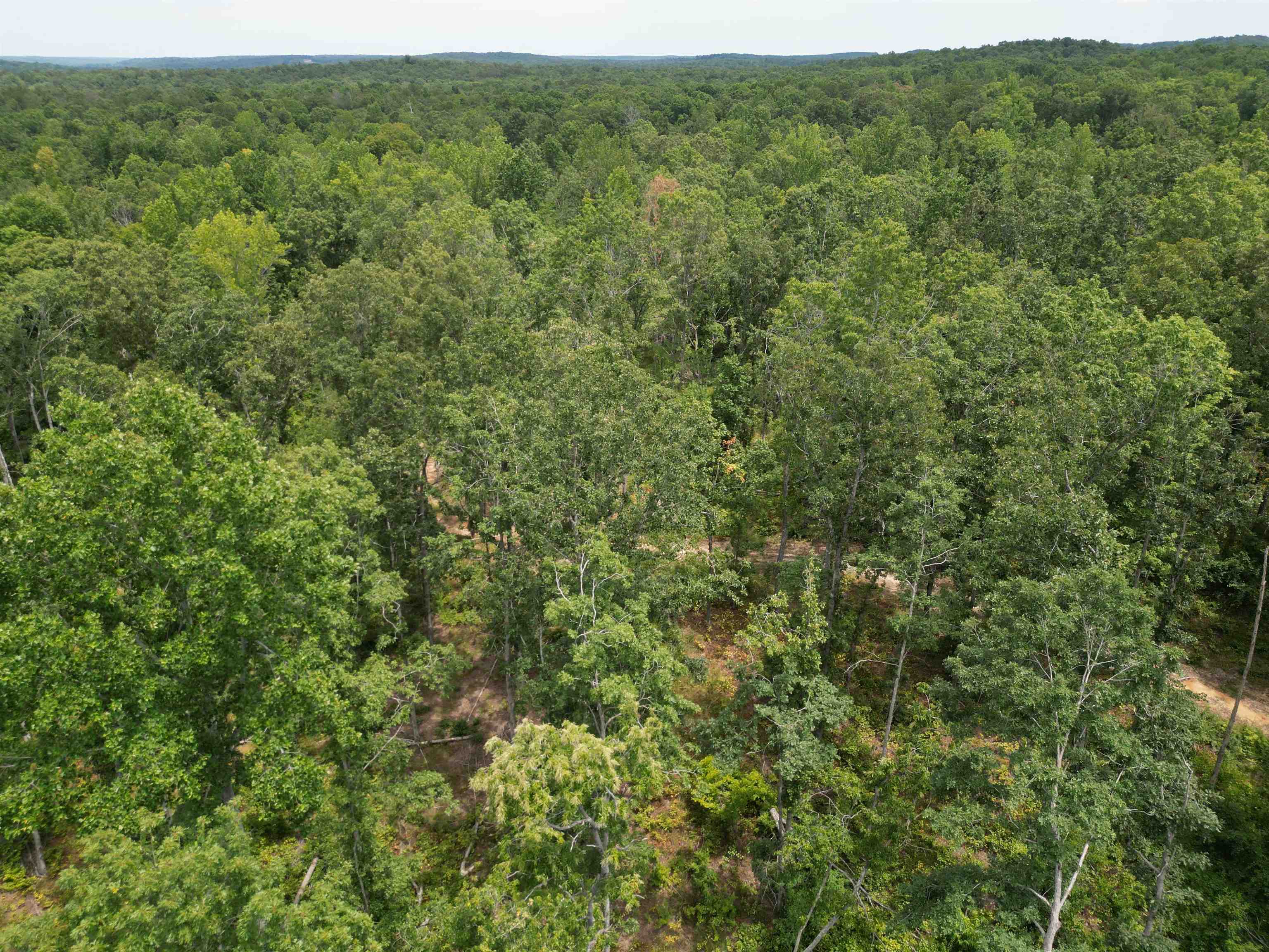 10 Bruton Road Savannah, TN 38372 - Photo 3 of 19 Birds eye view of property