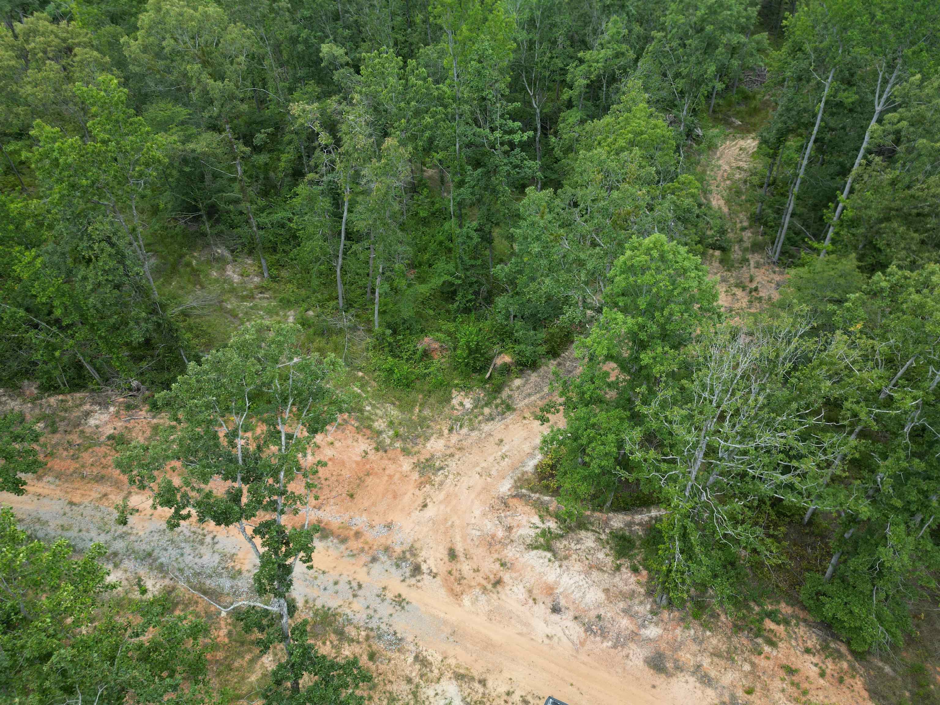 10 Bruton Road Savannah, TN 38372 - Photo 4 of 19 View of local wilderness