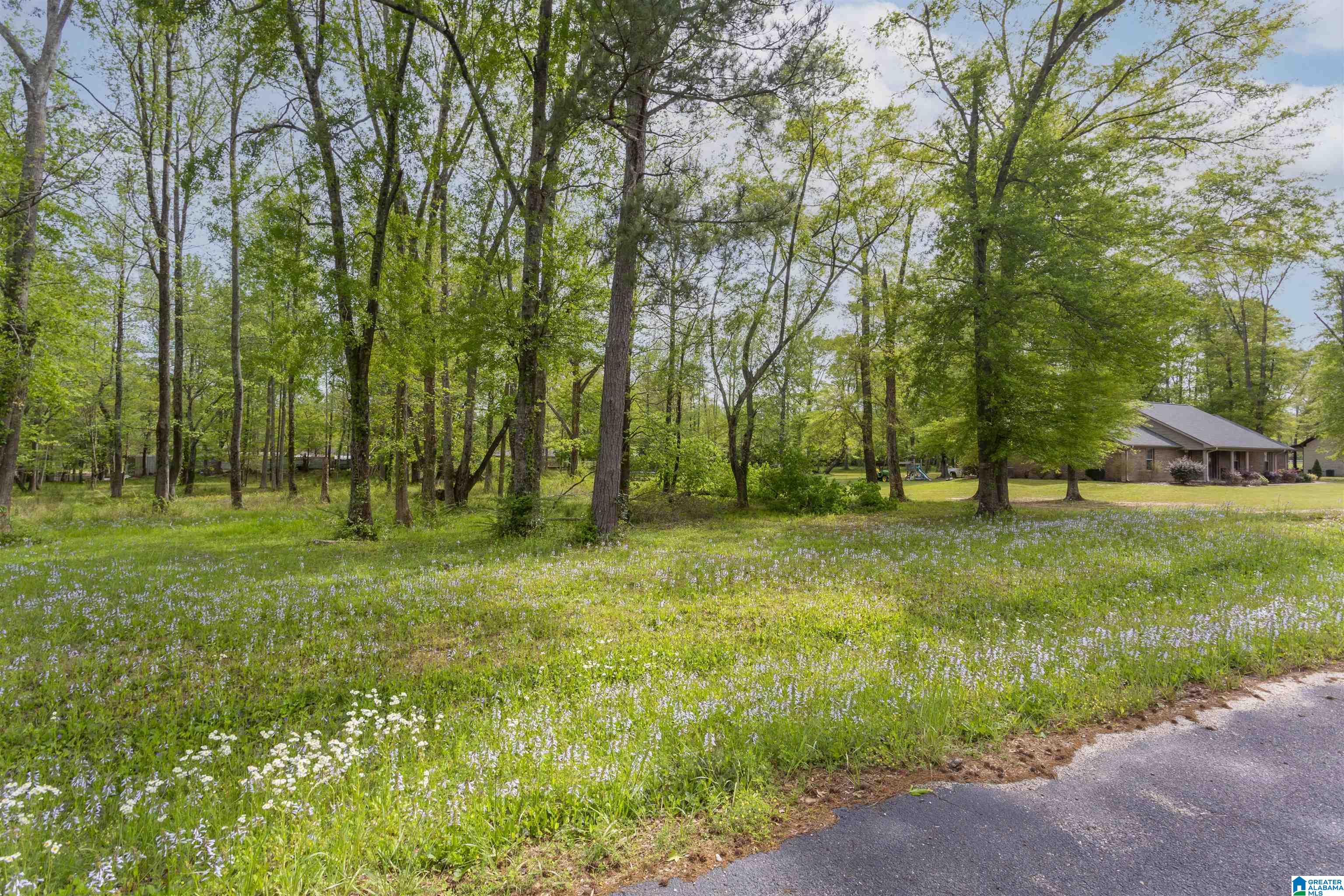 797 County Road Clanton, AL 35045 - Photo 39 of 44
