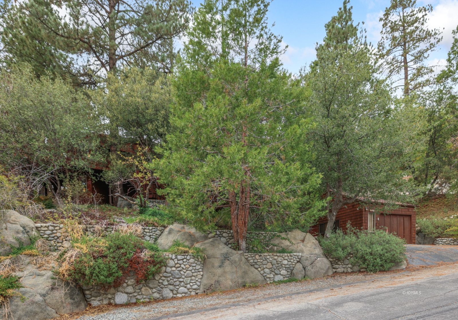 55100 Pine Crest Avenue Idyllwild, CA 92549 - Photo 2 of 50 a view of a plants with large trees