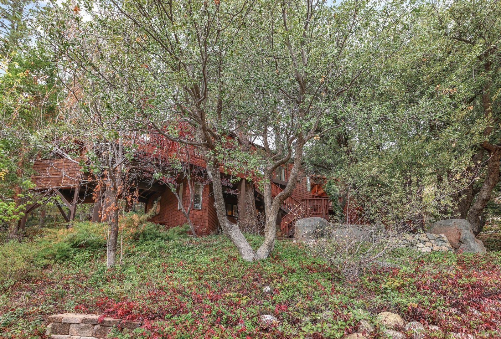 55100 Pine Crest Avenue Idyllwild, CA 92549 - Photo 42 of 50 a view of a backyard